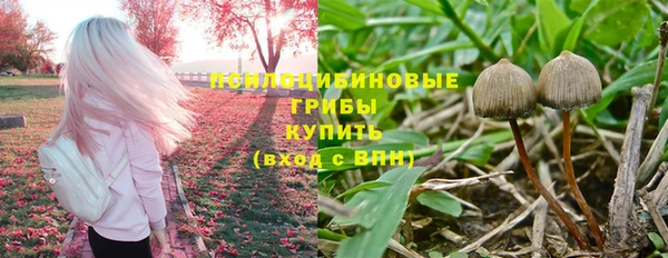 PSILOCYBIN Алексин
