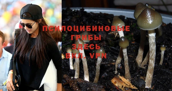 бошки Алексеевка