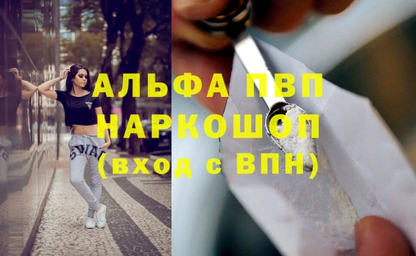 дживик Весьегонск