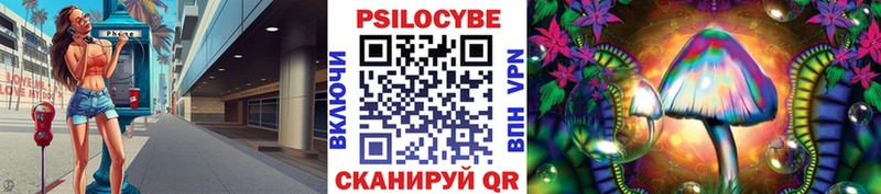 Галлюциногенные грибы Psilocybine cubensis  Никольск 