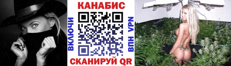 где купить   omg маркетплейс  Бошки марихуана индика  Никольск 